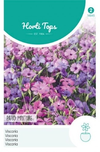 Viscaria oculata Patio mixture, Silenka ľúbezná cca 0,05 g